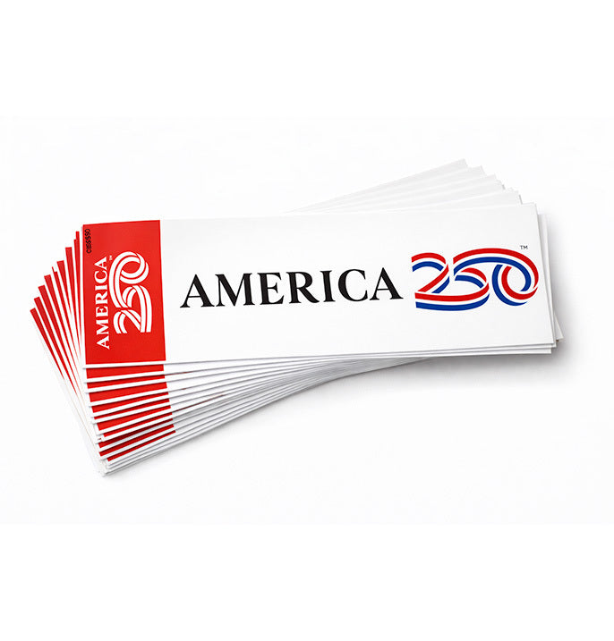 Bumper Sticker, 9"x3"