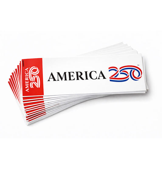 Bumper Sticker, 9"x3"