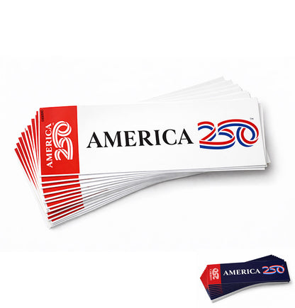 Bumper Sticker, 9"x3"